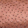 Brown Ostrich skin