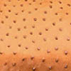 Tan Ostrich skin